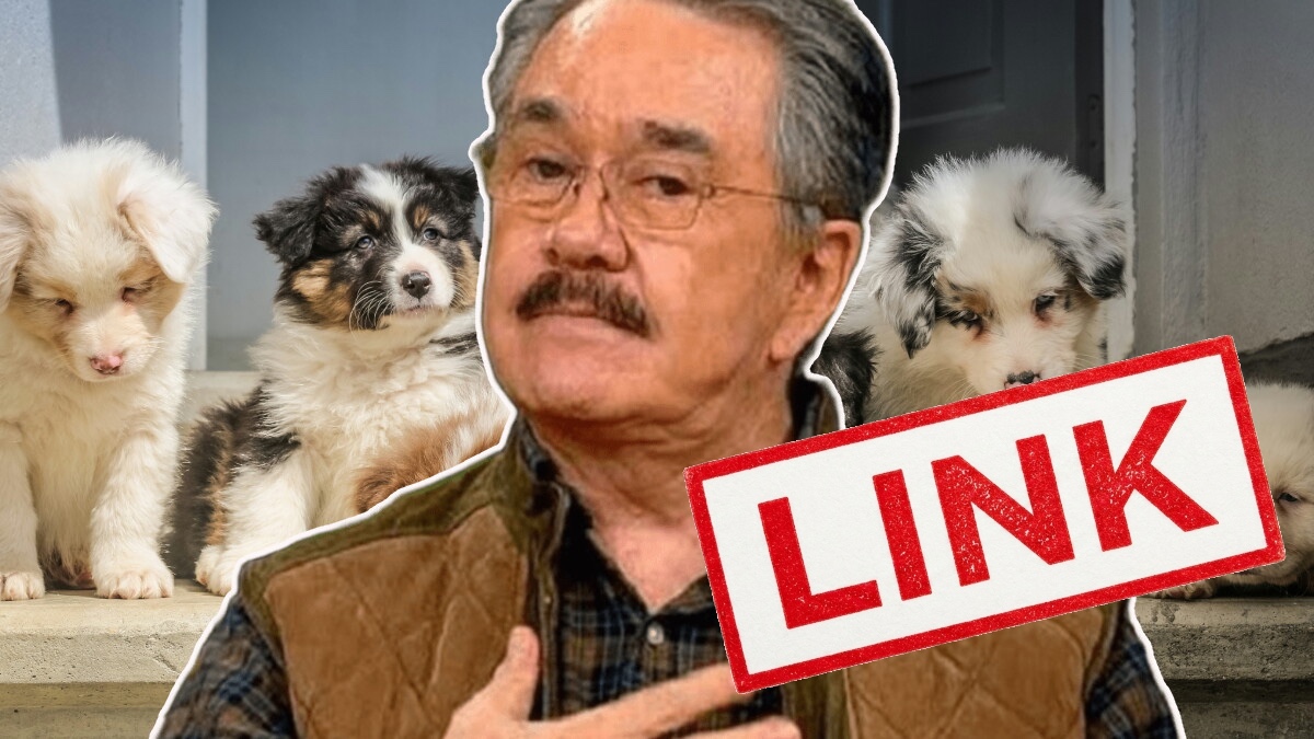 Firmas vs Pedro Sola por frase envenenar perros Change org |LINK