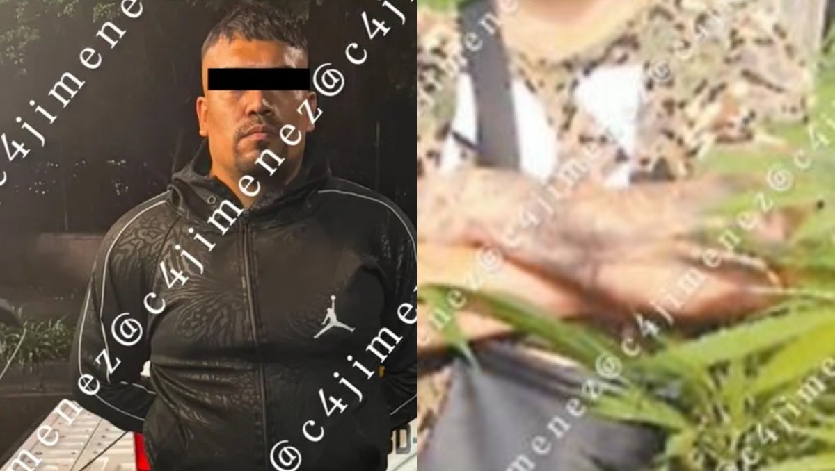 El hombre cultivaba mariguana en la demarcación. | Foto: Especial