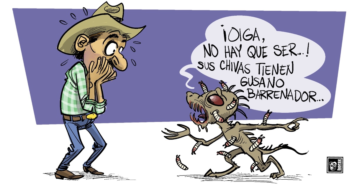 Horacio
