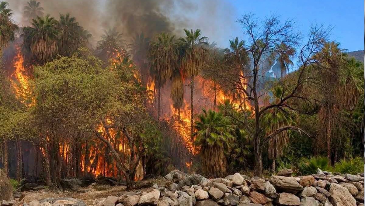 El incendio ha consumido más de 30 viviendas en la comunidad. | Foto: Especial