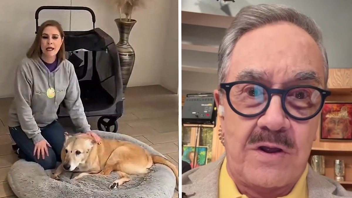 Denuncian a Pedro Sola por presunto maltrato animal (RS)