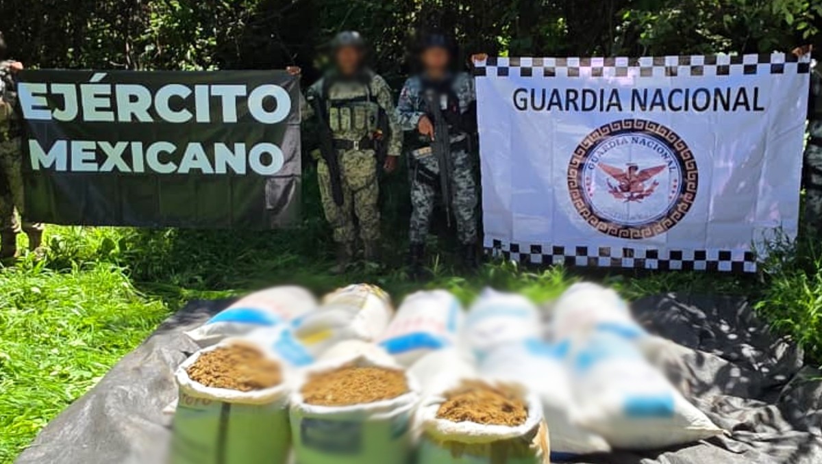 Golpe al narcotráfico en Guerrero, fuerzas federales incautan 130 kilos de droga| Foto: Especial