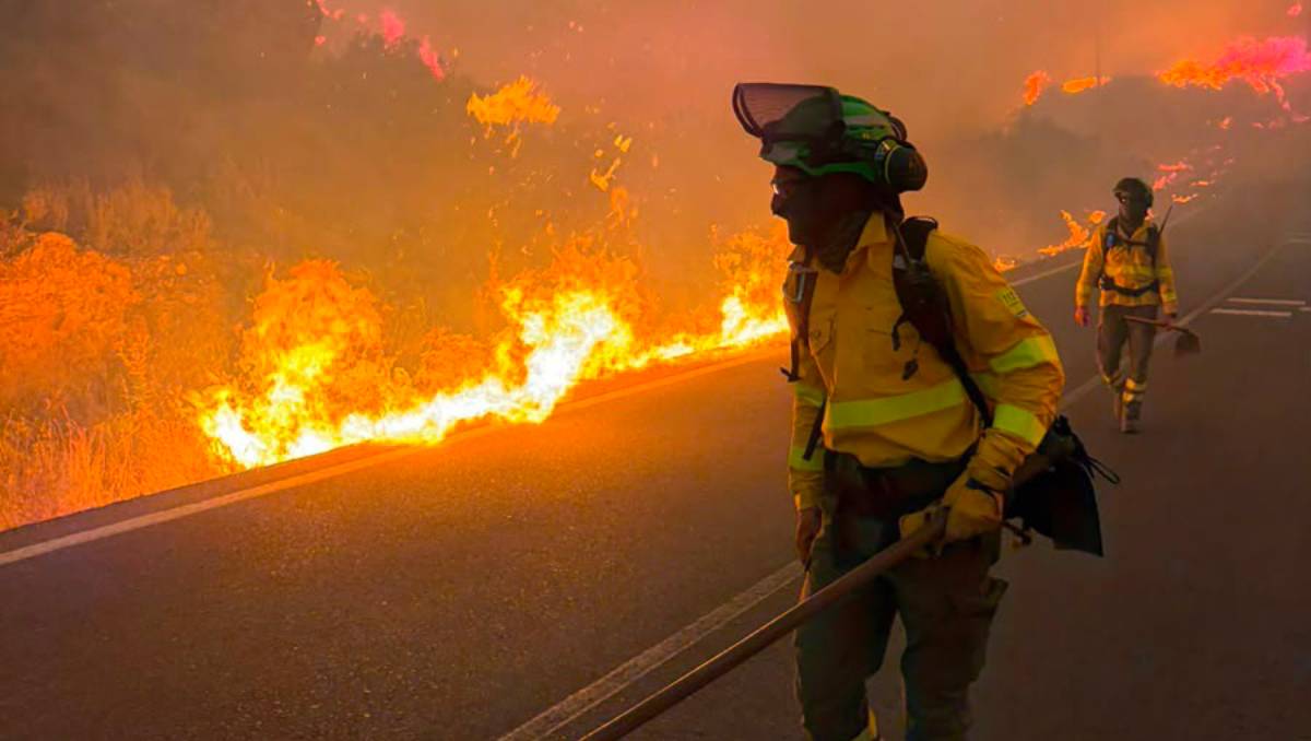 Incendio forestal en el pueblo Los Gallados, en Almería. | Foto: Especial