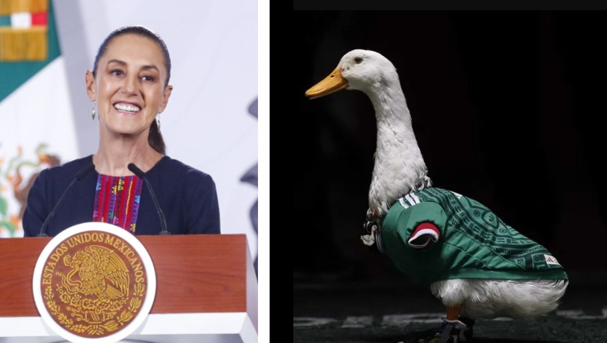 Familia del Pato Merlín ya tiene casa propia; vivían en un local- Grupo Milenio