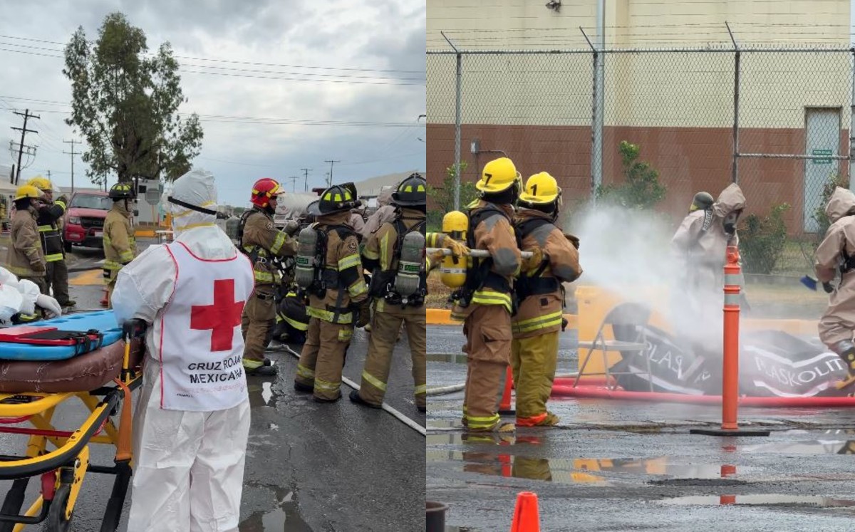 Simulacro en Matamoros. | X; PROFEPA