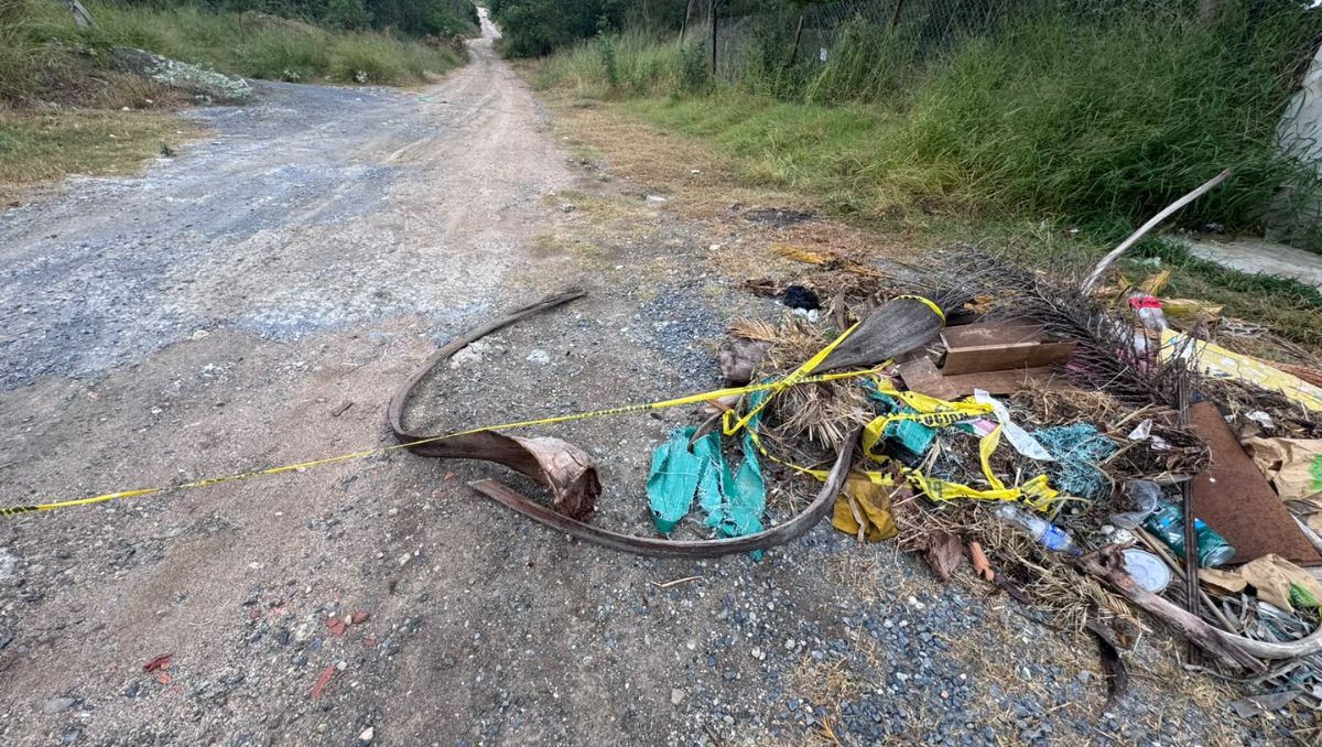 La joven víctima fue atacada por dos sujetos, quienes presuntamente la bañaron con gasolina y después le prendieron fuego. Fabricio Gallegos