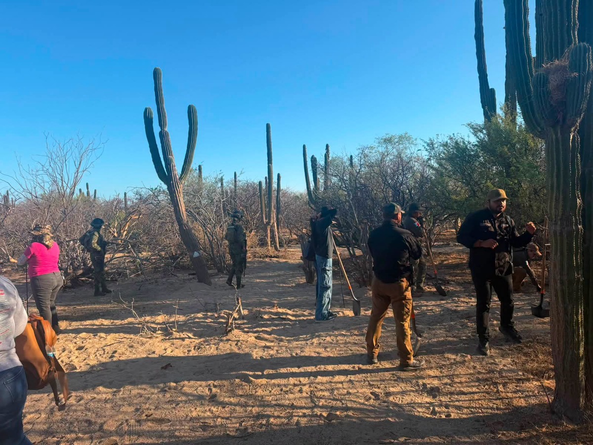 Colectivos de búsqueda y autoridades localizaron una nueva fosa clandestina en San José del Cabo, se busca identificar los restos. | Especial