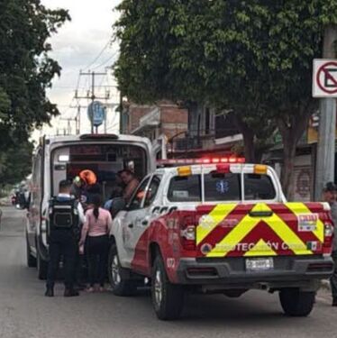 Un enjambre de abejas atacó a peatones y locatarios dejando un saldo de 14 personas lesionadas por picaduras, entre los que se encuentran menores de edad.