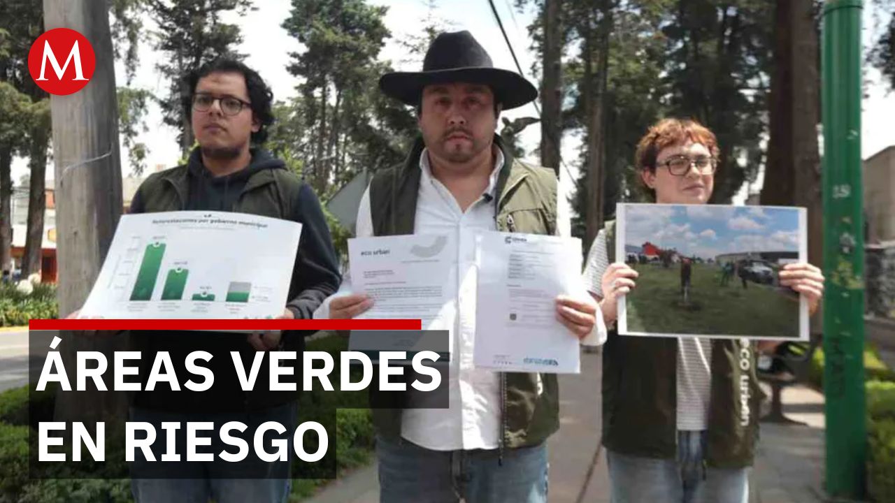 Toluca tala 60 árboles en Paseo Colón; ambientalistas cuestionan decisión y demandan información