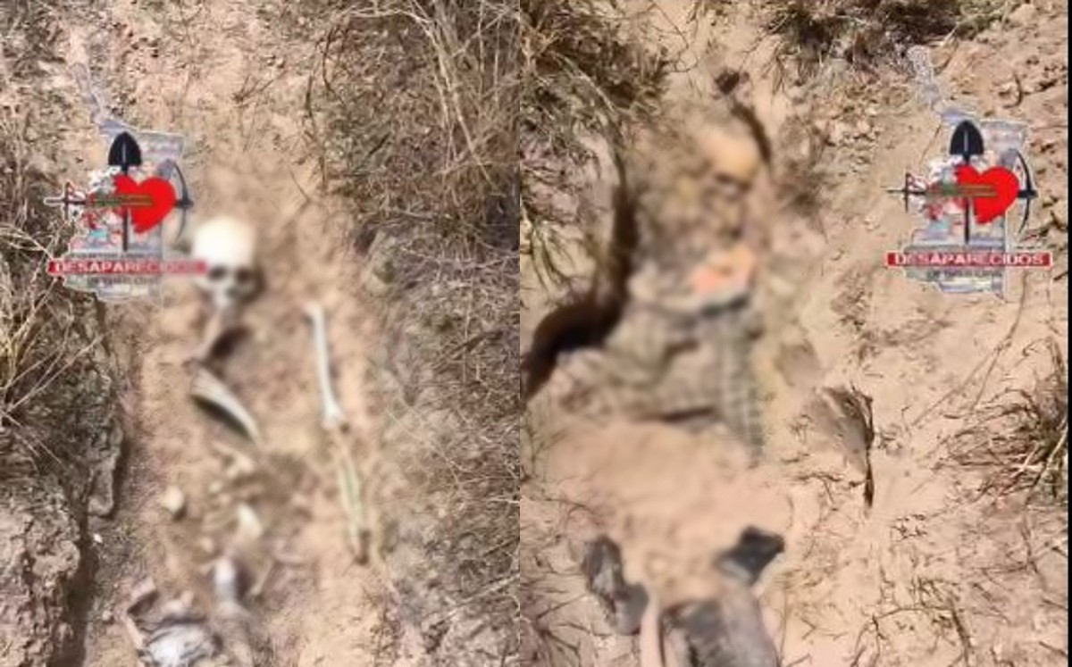 Descubren cementerio clandestino en Miguel Alemán con osamentas y prendas de vestir. | Redes sociales: Colectivo Amor por los Desaparecidos Tamaulipas