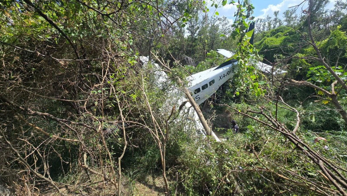 Protección Civil informó que atendió el reporte de una caída de aeronave en Pesquería, Nuevo León | Especial