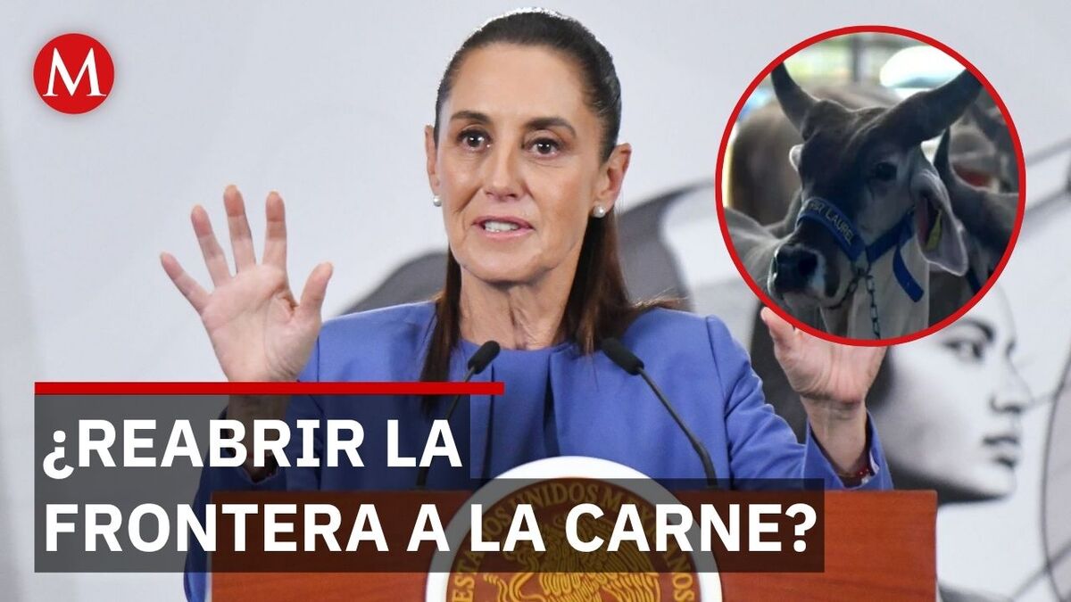Sheinbaum: México y EU trabajan para reabrir la frontera a la carne