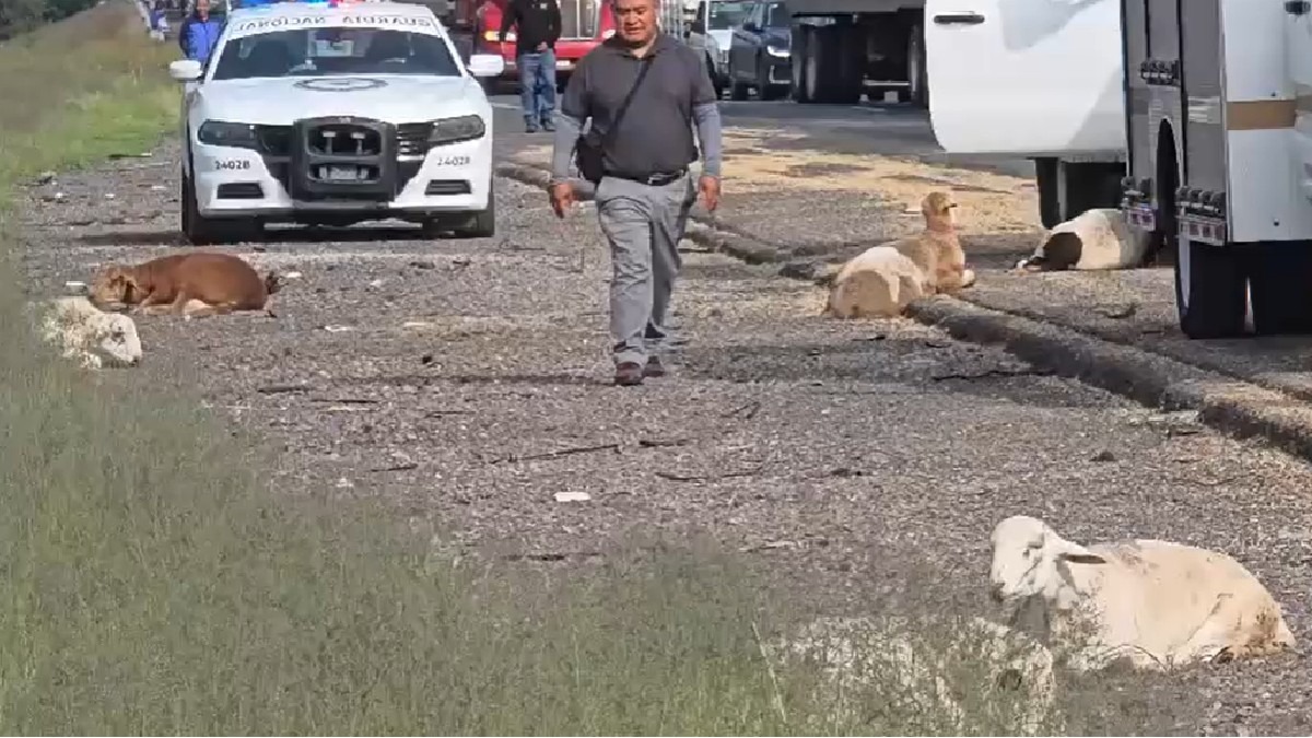 El conductor del camión y su ayudante resultaron con lesiones leves tras la volcadura. | Redes sociales