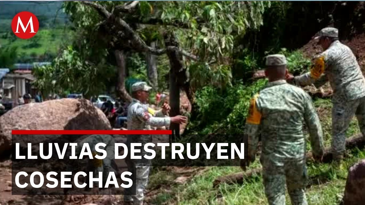 Lluvias en Estado de México destruyen cosechas y dañan hogares; 500 agricultores solicitan ayuda
