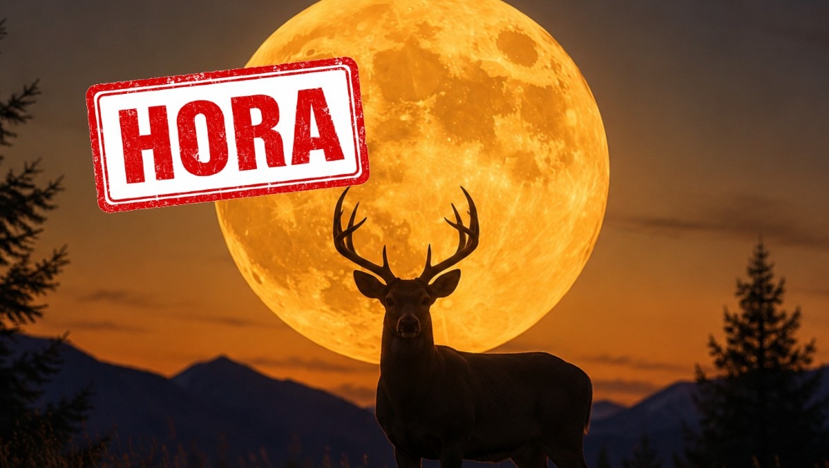La Luna de Ciervo es uno de tantos nombres que recibe la Luna llena de julio | IA Discover