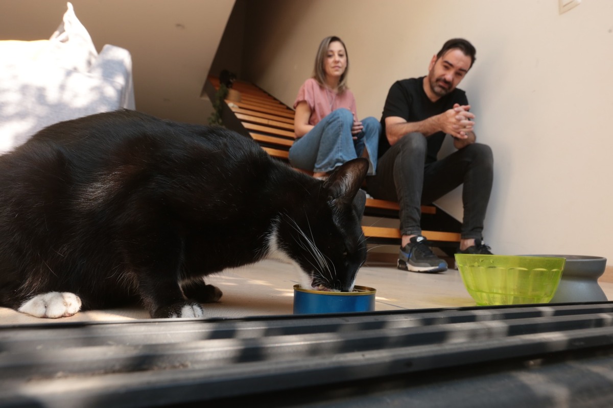 Las mascotas forman parte de la vida cotidiana de millones de familias. | Foto: Jesús Quintanar