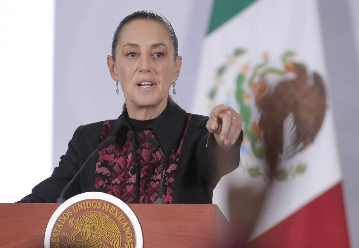 La Presidenta reiteró que su gobierno no cubrirá a nadie. | Foto: Ariel Ojeda