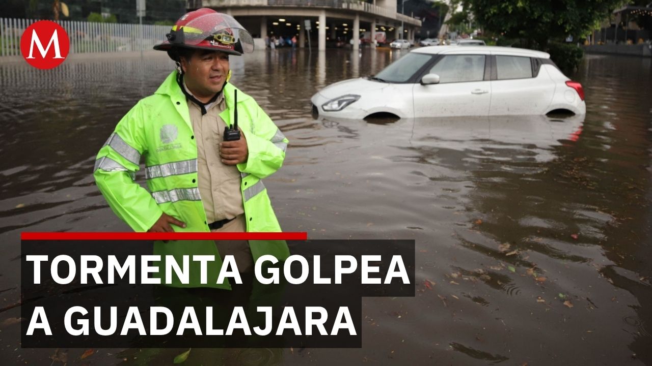 Tormenta deja árboles caídos y daños en Guadalajara