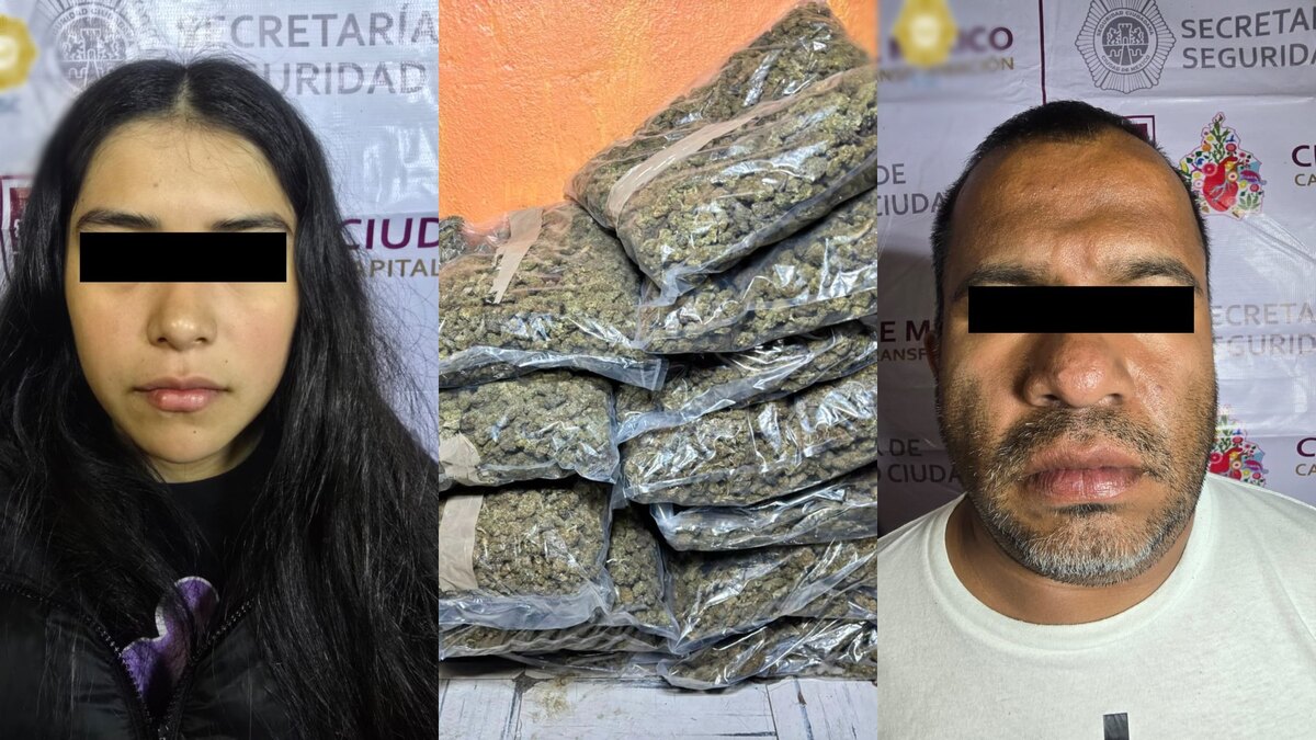 En las diligencias fueron aseguradas diversas dosis de presunta droga y cannabis a granel. | SSC