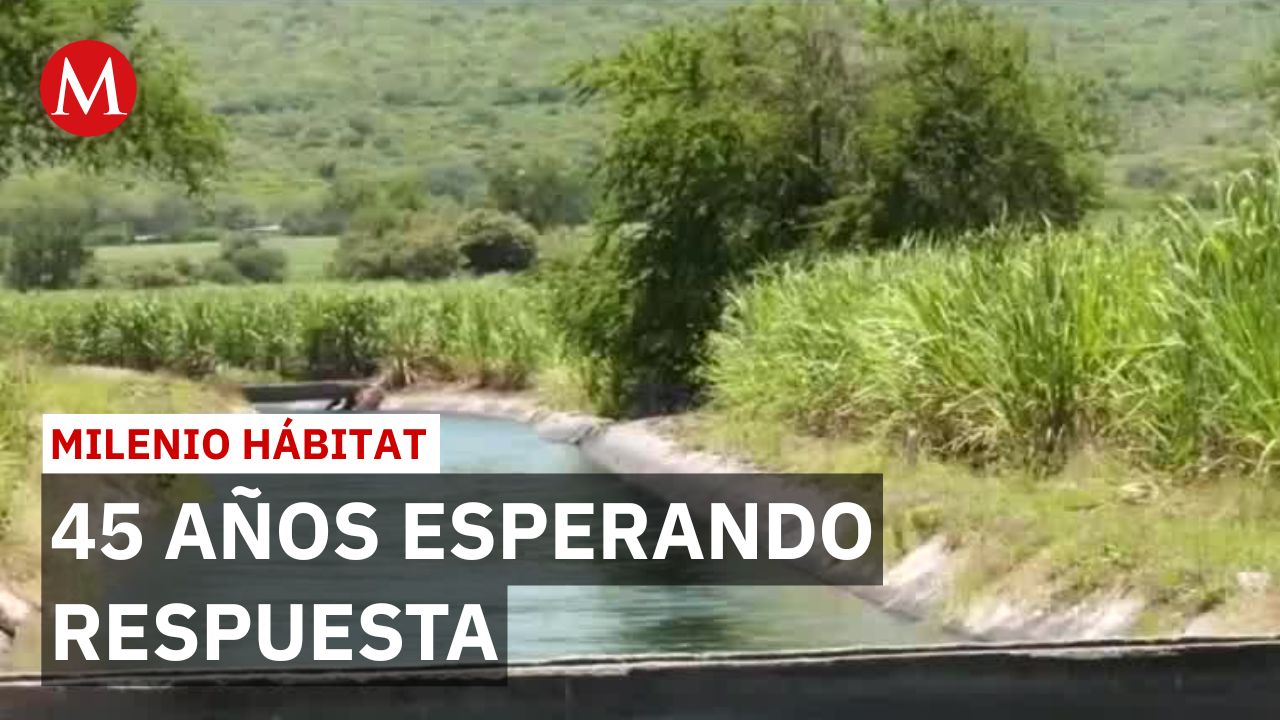 Gobierno promete tecnificar riego pero productores de Morelos | Milenio Hábitat
