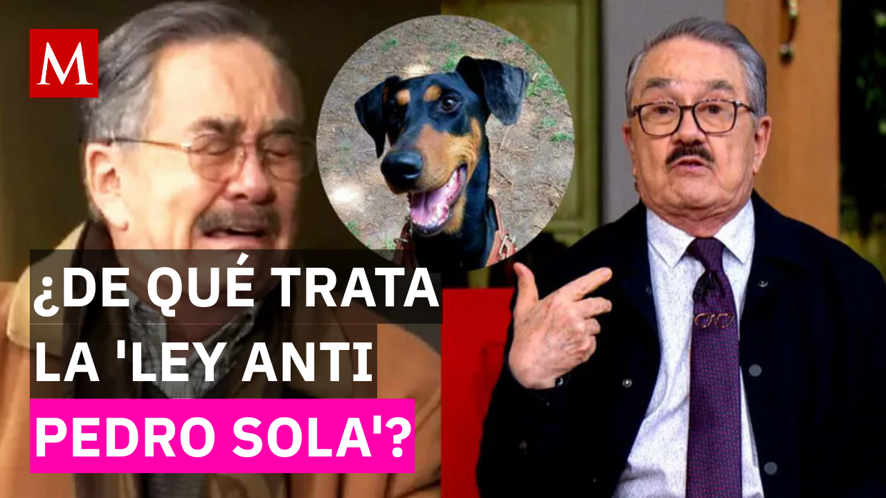 Presentan la "Ley Anti Pedro Sola" para frenar la incitación al maltrato animal en televisión nacional. En este video te explicamos qué dependencias actuarán.