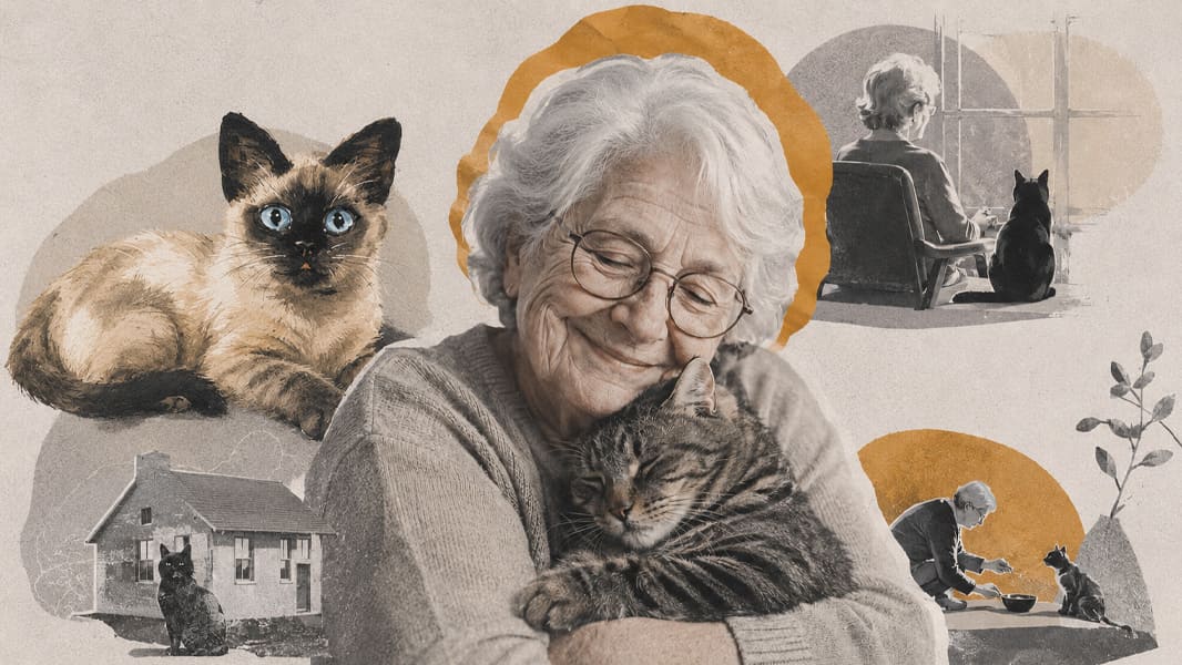 Los gatos pueden ser una buena opción de mascota para los adultos mayores | Margarita Salmorán