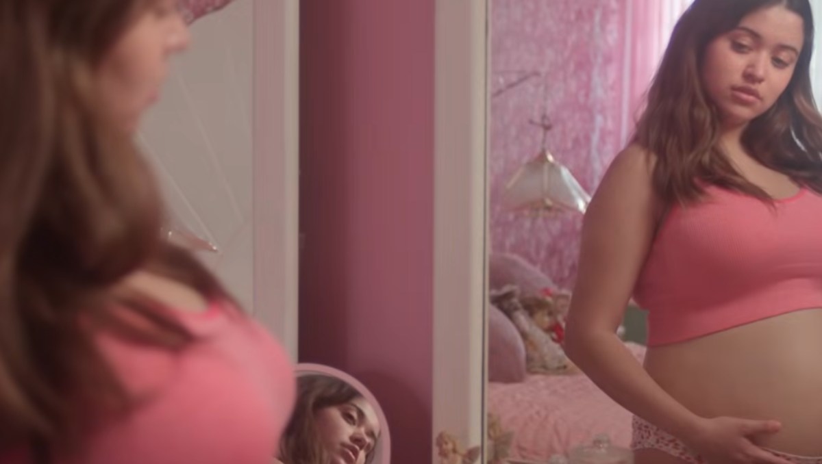 ¿De qué trata 'Un hijo propio'? El nuevo documental de Netflix sobre el caso REAL de la mujer que fingió su embarazo (Foto: Netflix)