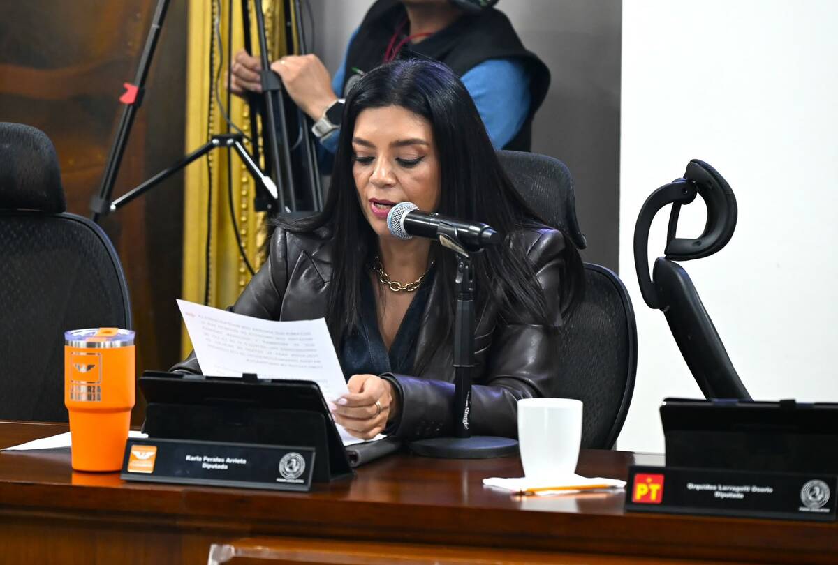 La iniciativa es presentada por la diputada de Movimiento Ciudadano, Karla Perales Arrieta. (Cortesía)