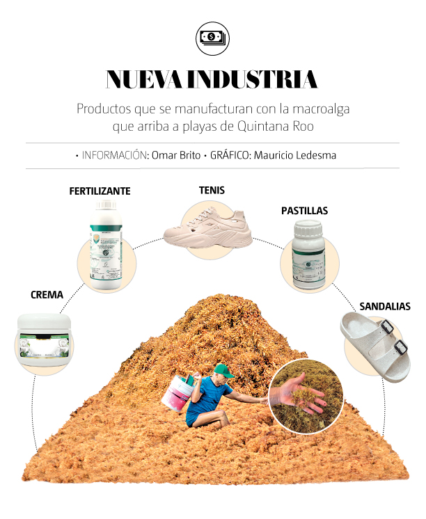 web-sargazo