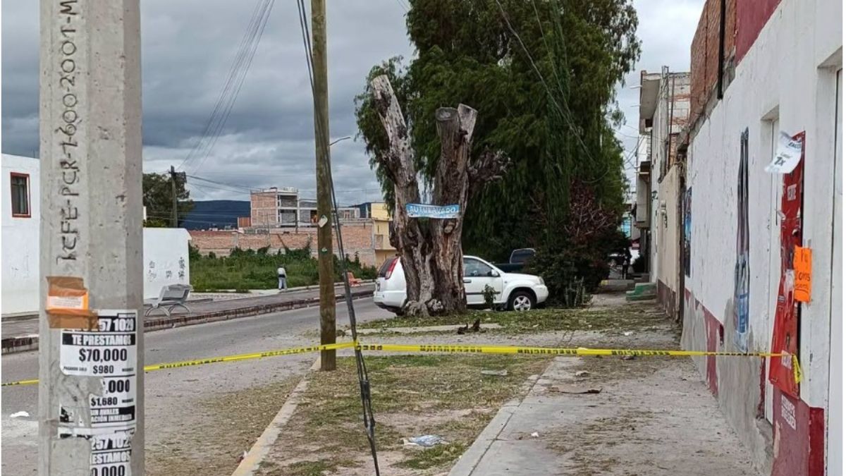 La calle Jazmín permaneció cerrada mientras Protección Civil realizaba el retiro del enjambre de abejas | Redes Sociales
