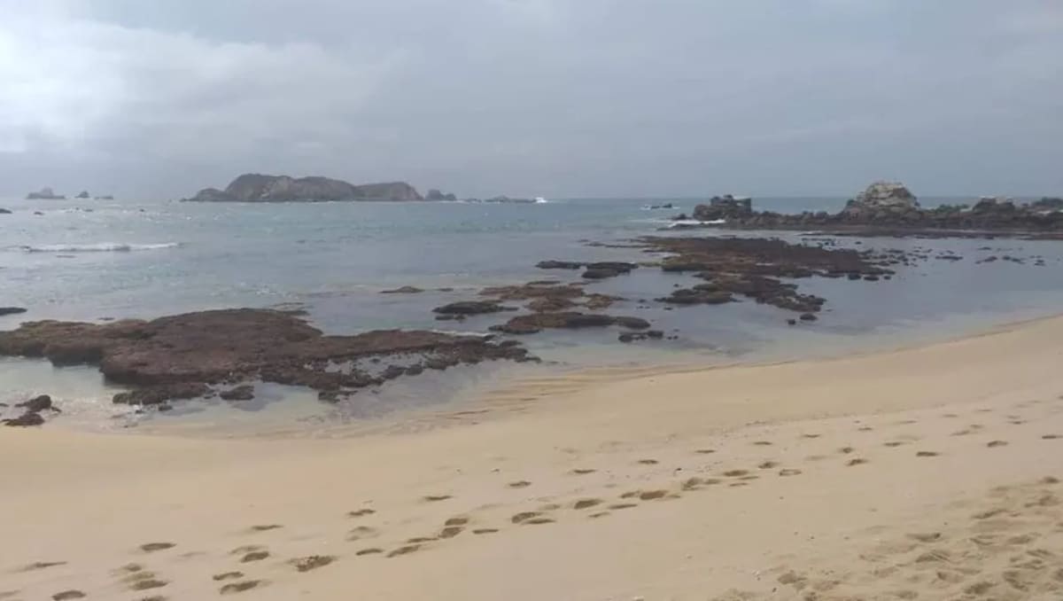 La alerta se activó la mañana de este viernes. | Especial