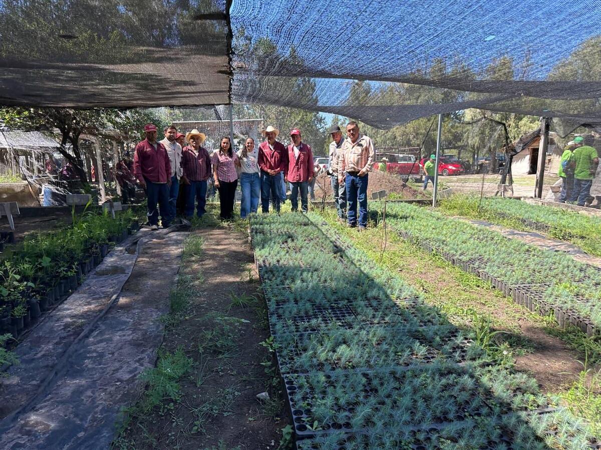 La senadora recorrió el municipio de Miquihuana | Especial