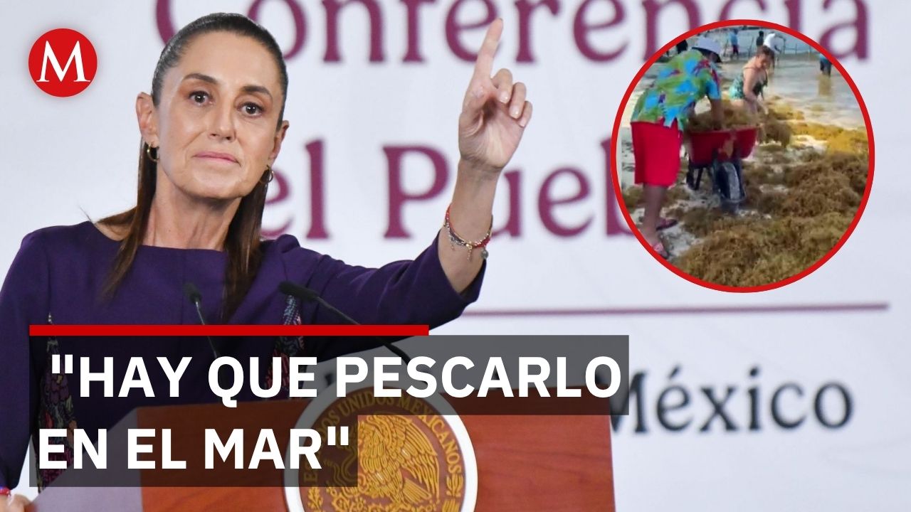 Sargazo invade playas de Quintana Roo y amenaza el turismo de miles de familias