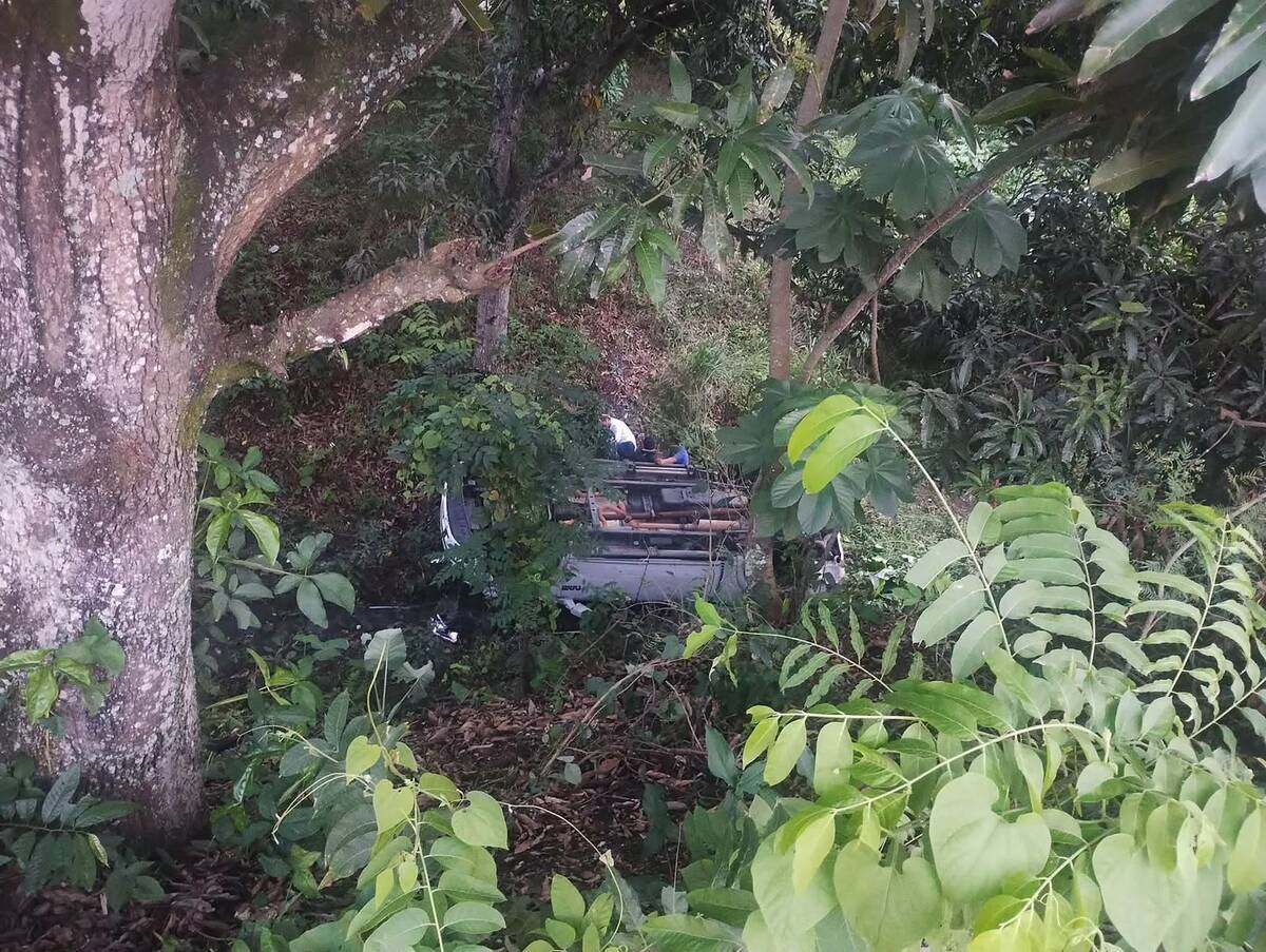 El accidente automovilístico se registró en la carretera Tlaltetela-Coatepec. | Especial