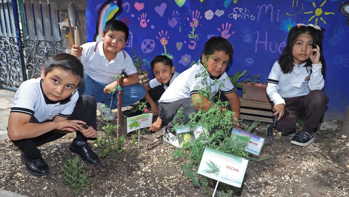 Niños de primaria en Puebla impulsan el emprendimiento con su huerto | Melanie Torres