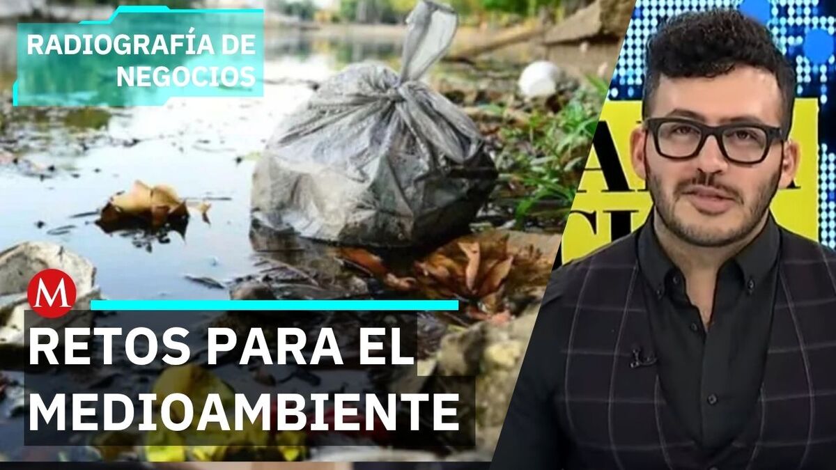 Pañales desechables: el reto ambiental que impacta a México | Radiografía de Negocios