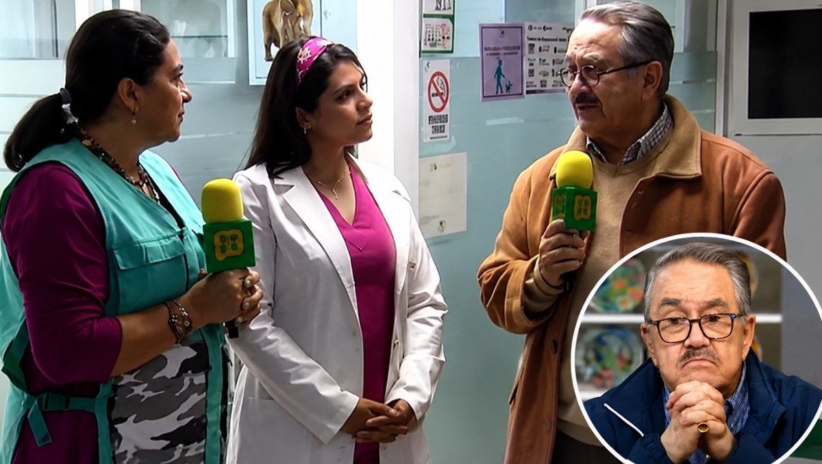 Tras visita de Pedro Sola, influencer denuncia por negligencia al hospital veterinario que visitó (Especial)
