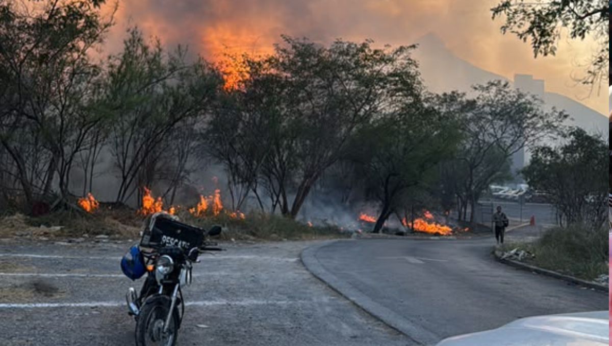 El incendio se registró en un lote baldío. Foto: Especial