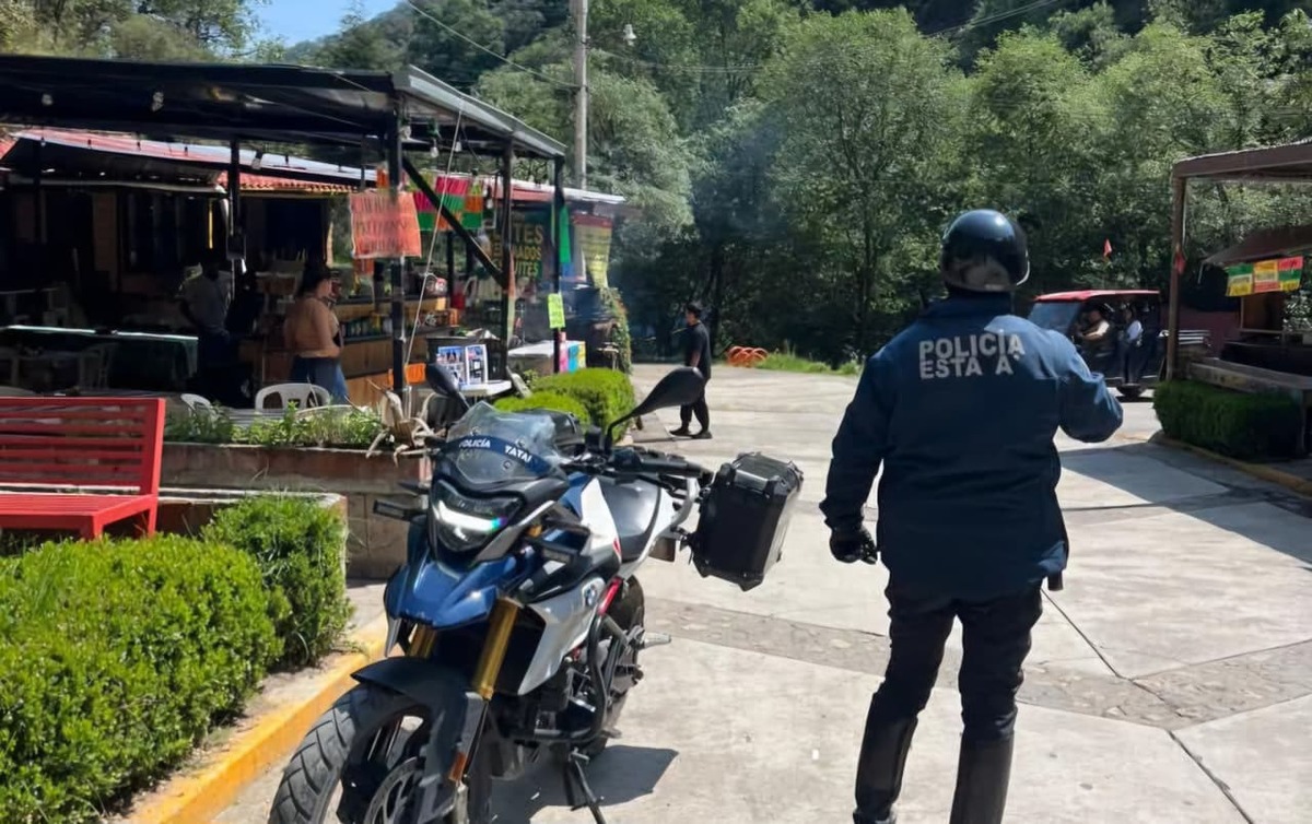 Operativo de seguridad en el Parque el Cedral en Mineral del Chico. (Cortesía)