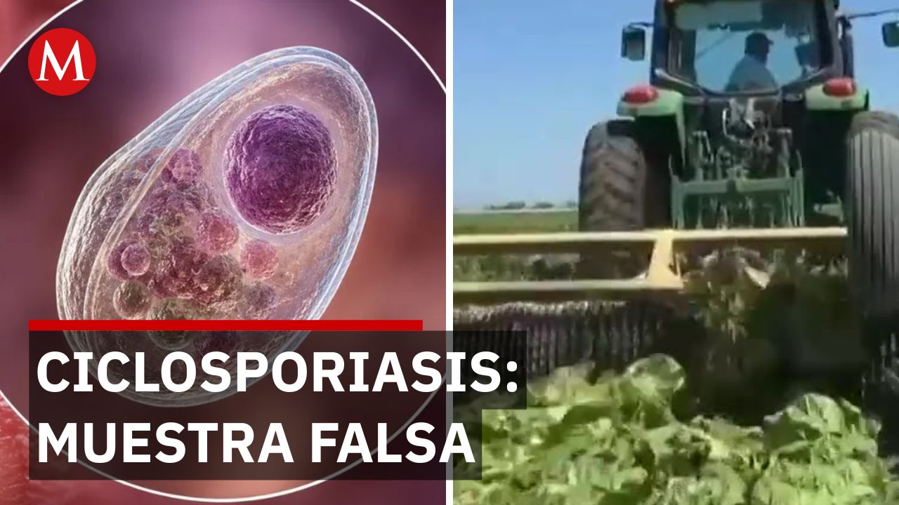 FDA retira lechuga mexicana por Ciclospora; investigación revela que muestra era falsa