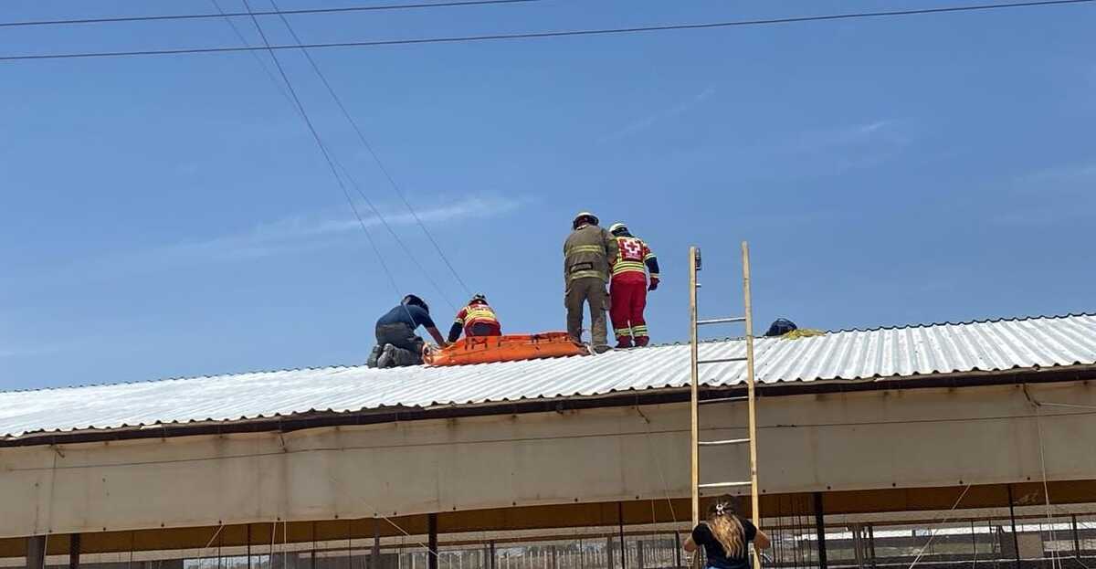 Un hombre perdió la vida tras sufrir una descarga eléctrica  este domingo en una granja. (Cortesía)
