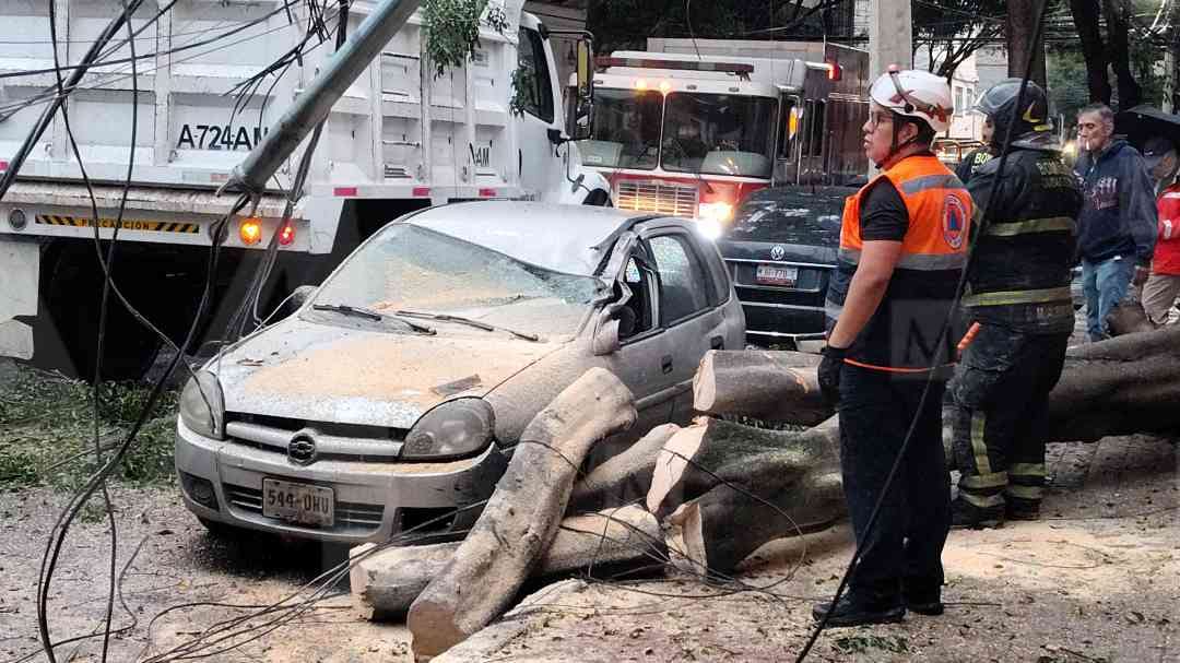 La intensas lluvias provocaron la caída de un árbol sobre un coche. | Fotos: Especial