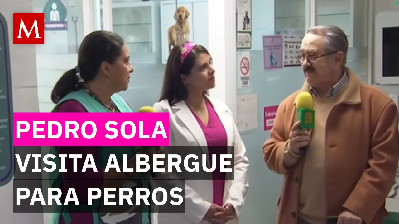 ¿Sincera disculpa o estrategia? Conductores de Ventaneando donan a la Fundación Yaakunah