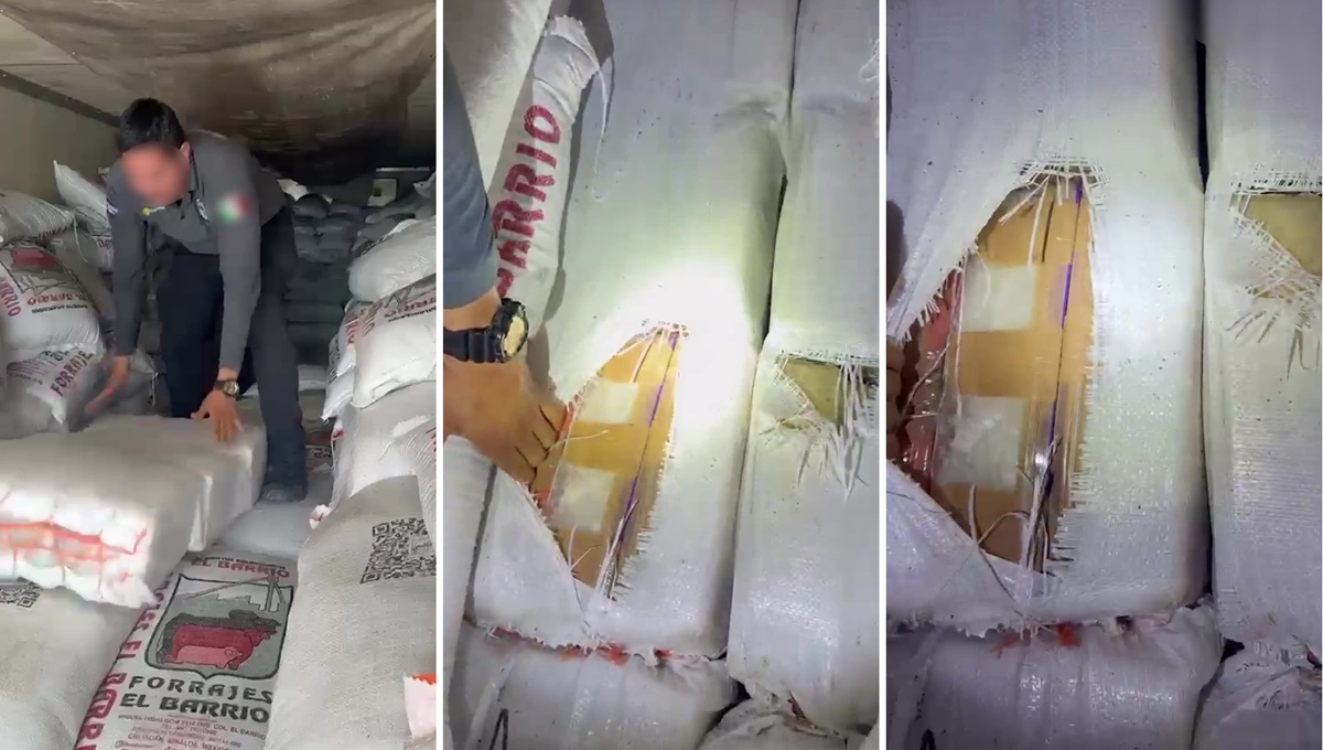 Autoridades aseguraron más de tres toneladas de metanfetamina en Sonora. | Foto: Especial
