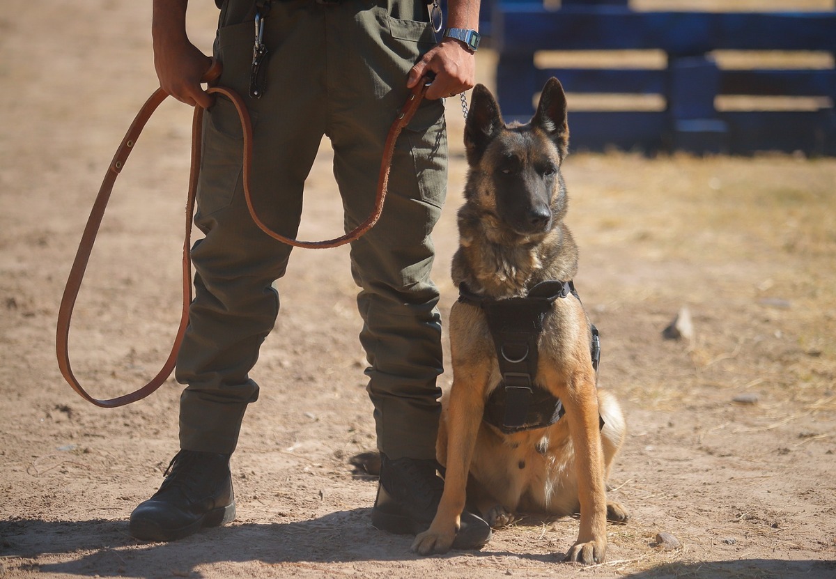 Binomio canino en Torreón. | Manuel Guadarrama