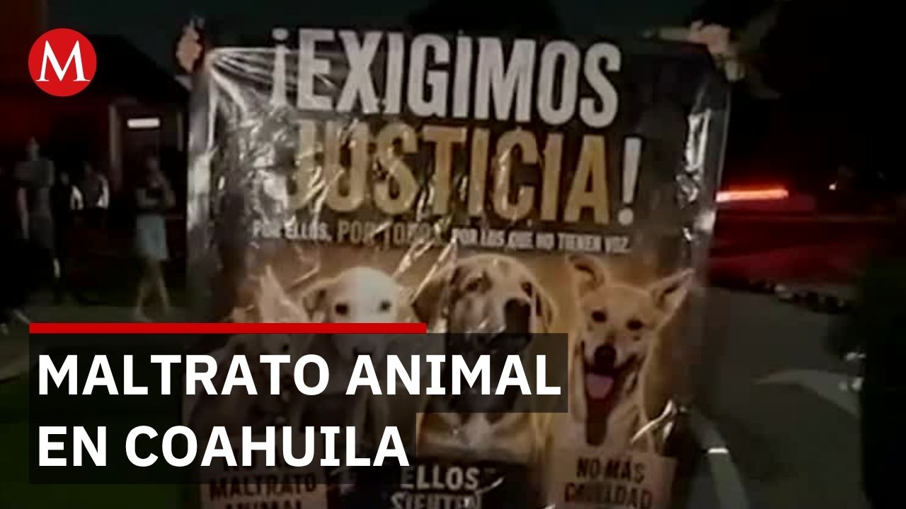 Coahuila: Rocky es arrastrado y genera indignación e investigación