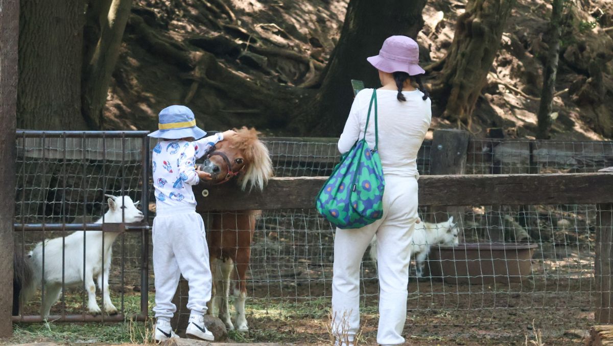 Familias disfrutan de las vacaciones y visitan el zoológico del Altiplano | Agencia Es Imagen
