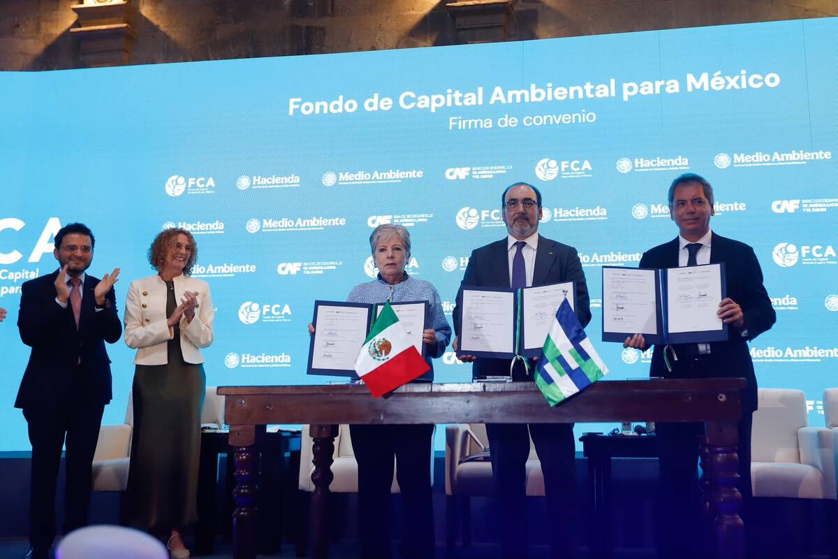 El nuevo fondo financiará proyectos clave de restauración de ecosistemas. | Foto: Ariana Pérez