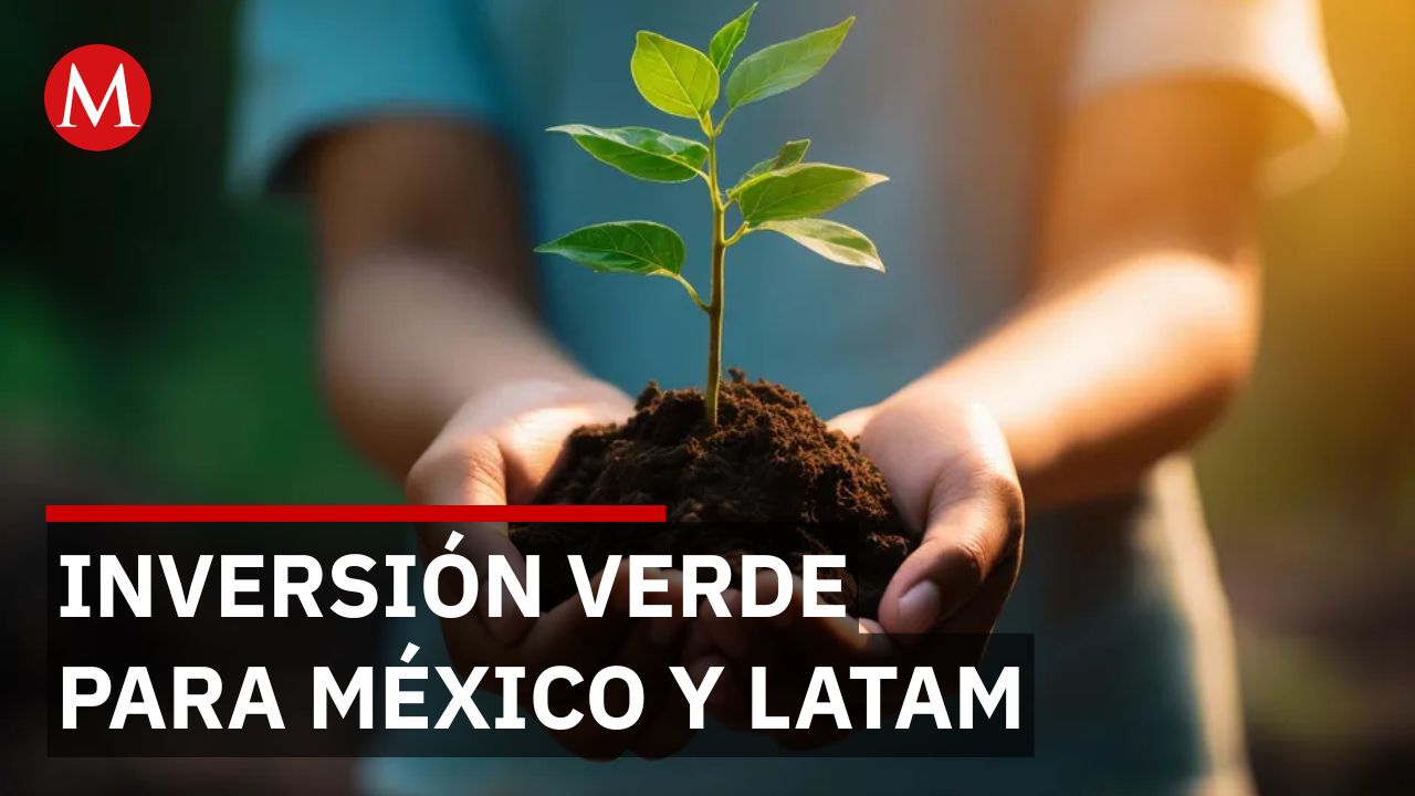 Presentan Fondo Vela en México: inversión de 150 mdd para proteger ecosistemas de LATAM