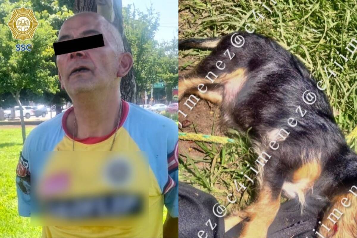 Vecinos de la alcaldía Cuauhtémoc se percataron de la agresión, por lo que detuvieron al sospechoso.